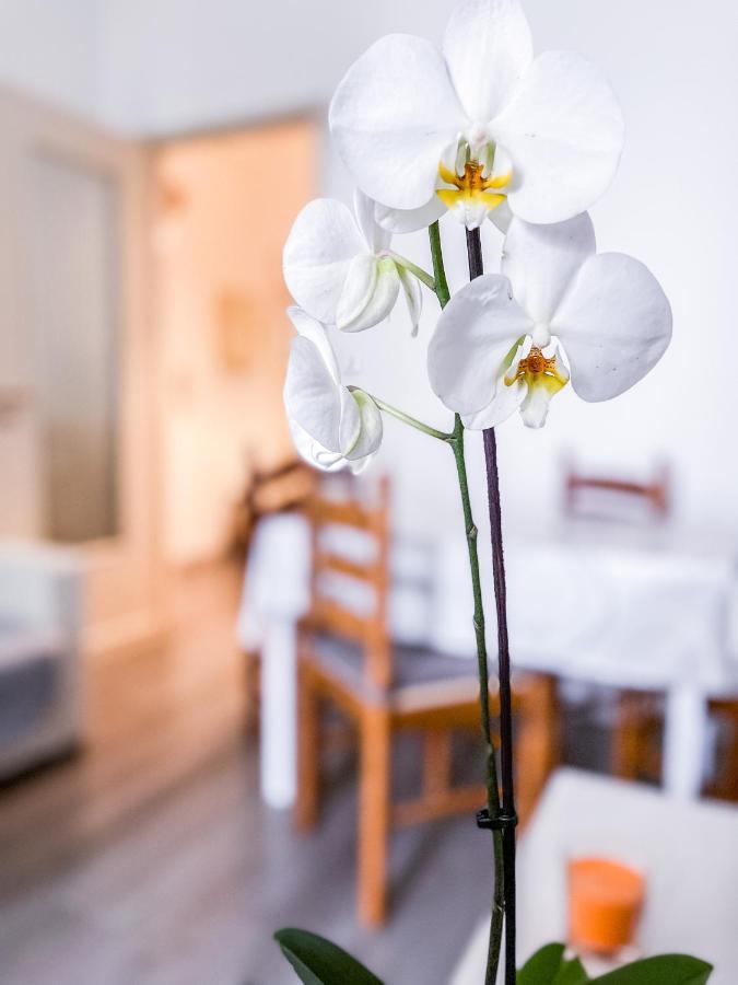 Myhouse Inn Marche - Affitti Brevi Italia Torino Eksteriør bilde